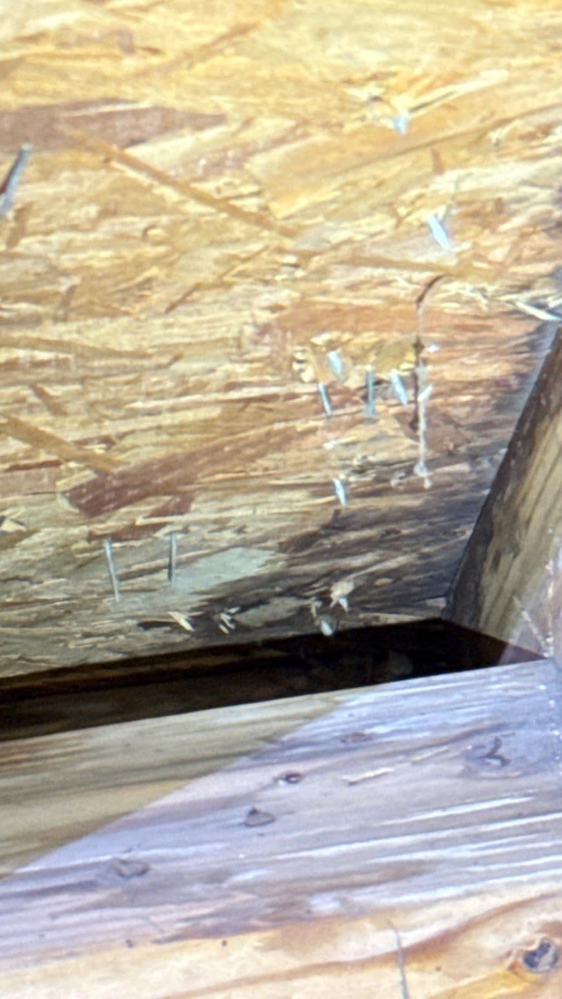 Gallery photos for When the Ceiling Stain Is Just the Beginning: Image #2
