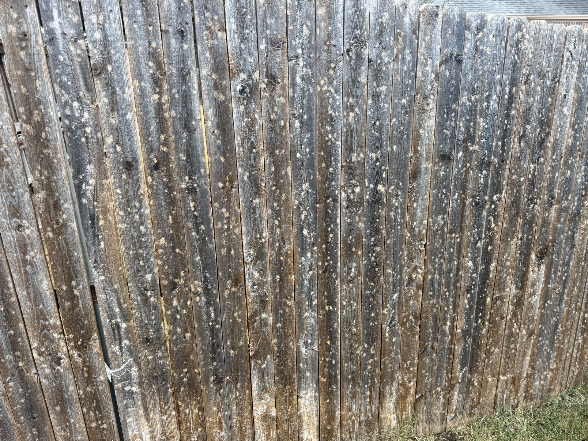 Gallery photos for Expert Storm Damage Inspection and Restoration Services: Image #1